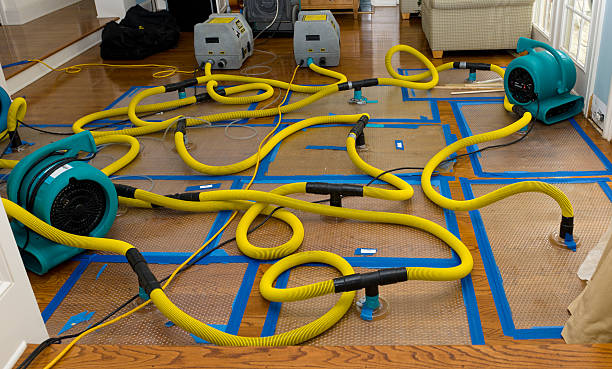 Professional Emergency Water Removal technician working in Bellville, OH